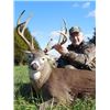 Image 2 : SN-13 ARCHERY DEER HUNT KANSAS