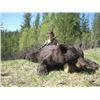 Image 1 : SN-17 ALBERTA SPRING BEAR/WOLF/COYOTE HUNT