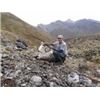 Image 2 : SN-20 10 DAY DALL SHEEP AND MOUNTAIN CARIBOU HUNT IN THE YUKON