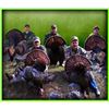 Image 1 : SN-25 3 DAY OSCEOLA TURKEY HUNT