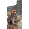 Image 1 : SN-33 2016 SOUTH DAKOTA BIGHORN SHEEP TAG