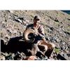 Image 1 : SN-43 2016 WYOMING GOVERNOR’S ROCKY MOUNTAIN BIGHORN SHEEP LICENSE
