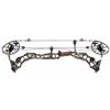 Image 2 : Mathews Halon 6 Compound Bow