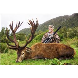 New Zealand Red Stag Hunt