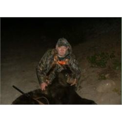 Black Bear Hunt in Newfoundland