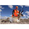 Image 4 : 2 Hunters and 2 Trophy Pronghorn in Colorado