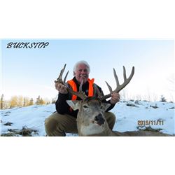 Alberta Whitetail Hunt