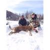 Image 1 : Colorado Mountain Lion Hunt