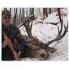 Image 1 : Trophy Mule Deer Hunt in British Columbia for 2