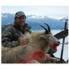 Image 2 : Mountain Goat Hunt in Alaska’s Chugach #1