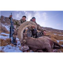 Mid-Asian Ibex Hunt
