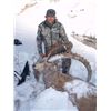 Image 3 : Mid-Asian Ibex Hunt