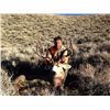 Image 3 : Wyoming Private Land Antelope Hunt for 2 Hunters