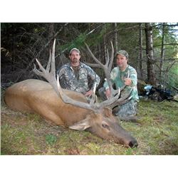 Roosevelt Elk, Black Bear and Blacktail Deer Combo