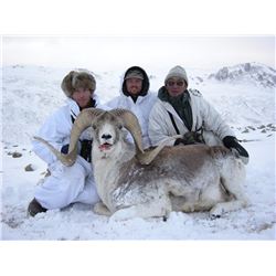 Kyrgyzstan Marco Polo Hunt