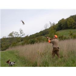 Buyers Choice of Pheasant Hunt or Lake Trout/Striper Fishing