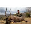 Image 1 : Ultimate Hunting Safaris Plains Game Hunt with Trophy Credit