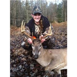 Virginia Archery Whitetail