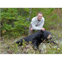 Newfoundland Black Bear Hunt