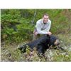 Image 1 : Newfoundland Black Bear Hunt