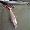Image 2 : The 1st Annual Jurassic Classic Sturgeon Fishing Tournament - 2-Day Trip For 2 Anglers