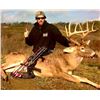 Image 1 : Ohio Archery Whitetail #1