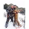 Image 2 : Colorado Mountain Lion Hunt