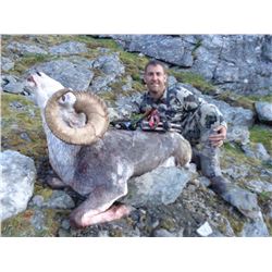 Yukon Stone Sheep Hunt