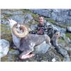 Image 1 : Yukon Stone Sheep Hunt
