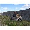 Image 2 : Yukon Stone Sheep Hunt