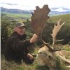 Image 1 : Fallow Deer Buck Hunt in New Zealand