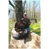 Image 2 : 3 Day Turkey Hunt in Eastern Ohio
