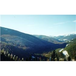 MONTANA FISHING/PACK TRIP FOR 2