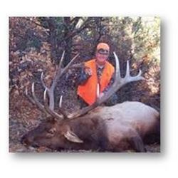 COLORADO TROPHY BULL ELK HUNT FOR 2