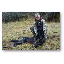 IDAHO WOLF HUNT FOR 2 By Jim Zubillaga and C4 Lodge