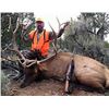 Image 1 : COLORADO ELK, DEER AND BEAR HUNT FOR 2 HUNTERS