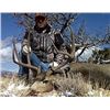 Image 2 : COLORADO ELK, DEER AND BEAR HUNT FOR 2 HUNTERS