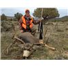 Image 3 : COLORADO ELK, DEER AND BEAR HUNT FOR 2 HUNTERS