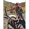 Image 5 : COLORADO ELK, DEER AND BEAR HUNT FOR 2 HUNTERS