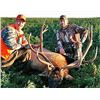 Image 6 : COLORADO ELK, DEER AND BEAR HUNT FOR 2 HUNTERS