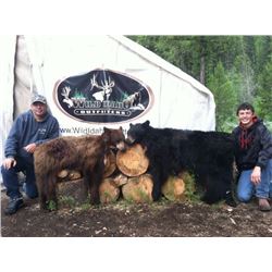 IDAHO SPRING BEAR HUNT FOR 2