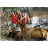 Image 1 : MONTANA ELK AND DEER HUNT