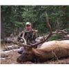 Image 1 : WYOMING WILDERNESS ARCHERY ELK HUNT