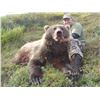 Image 3 : ALASKA DREAM HUNT MOOSE, CARIBOU, BROWN/GRIZZLY AND BLACK BEAR HUNT