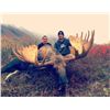 Image 4 : ALASKA DREAM HUNT MOOSE, CARIBOU, BROWN/GRIZZLY AND BLACK BEAR HUNT