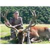 Image 1 : 5-day Red Stag, Tahr and Chamois Hunt for (1) Hunter, New Zealand