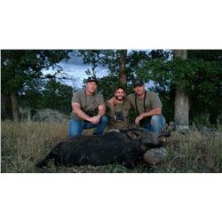 2016 Free Range Spot and Stalk Wild Pig Hunt (1) hunter