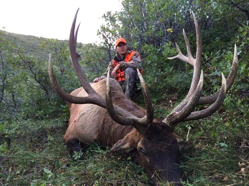 2016 Utah Book Cliffs, Bitter Creek/South Multi Season Conservation Elk