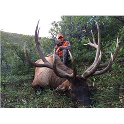2016 Utah Book Cliffs, Bitter Creek/South Multi Season Conservation Elk Permit