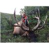 Image 1 : 2016 Utah Book Cliffs, Bitter Creek/South Multi Season Conservation Elk Permit